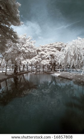 Public Park At Bangkok ,Thailand taken in Near Infrared