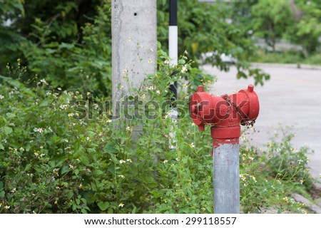 Red Fire Hydrant on a green background