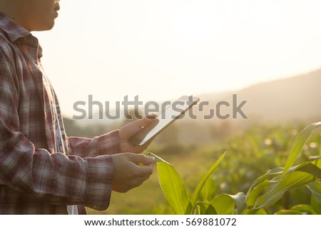 Agronomist Using a Tablet for read a report on the agriculture Field with copy space and vintage tone with selective focus,agriculture technology concept for a industrial.