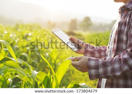 Farmer man read or analysis a report in tablet computer on a agriculture field with vintage tone on a sunlight,agriculture concept.