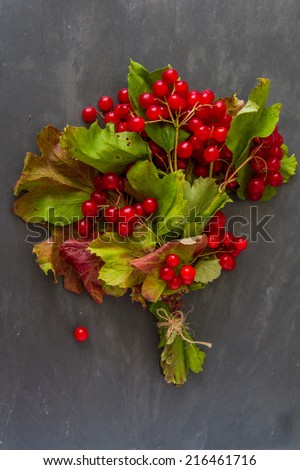 Red arrow wood berries with colored leaves on dark stone background