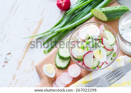 Radish, cucumber, egg, dill, onion yogurt salad in glass bowl with ingredients, plaid napkin, white wood background, top view
