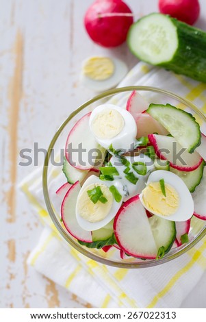 Radish, cucumber, egg, dill, onion yogurt salad in glass bowl with ingredients, plaid napkin, white wood background, top view