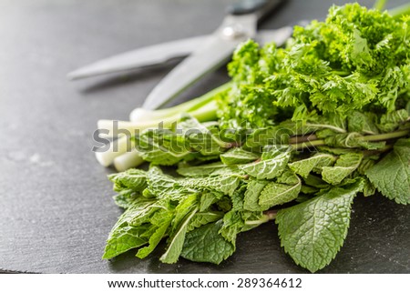 Herbs background - mint, parsley, garden scissors, dark stone background, closeup