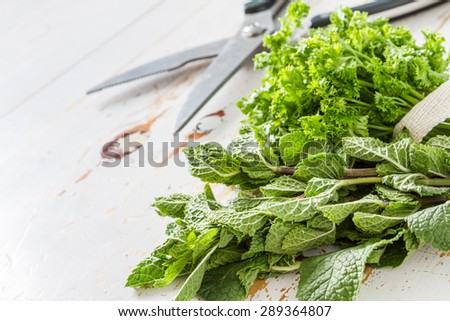 Herbs background - mint, parsley, garden scissors, white wood background, closeup