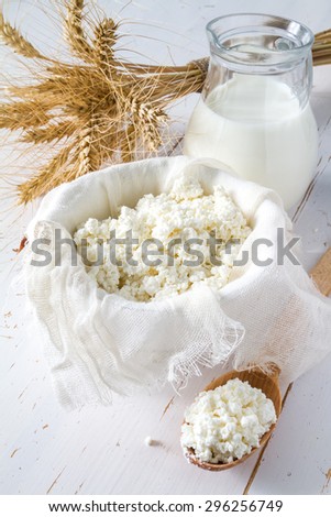 Fresh dairy products (milk, cottage cheese), wheat, white wood background