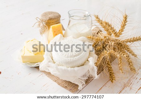 Selection of fresh dairy products - milk, cheese, cottage cheese, yogurt, butter, wheat, white wood background
