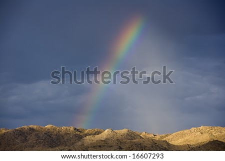 Rainbow after clearing storm in Joshua Tree National Park.