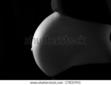 pregnant belly. stock photo : Pregnant belly
