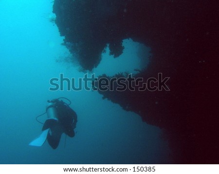The wonderful sport of SCUBA diving