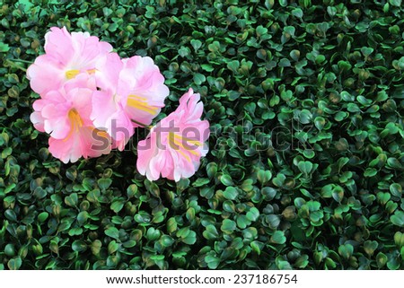 image of pink artificial flower on artificial turf