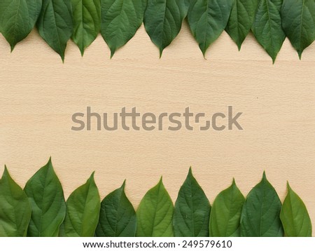 header and footer border from fresh leaf