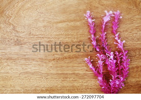 pink marine plant on wooden background