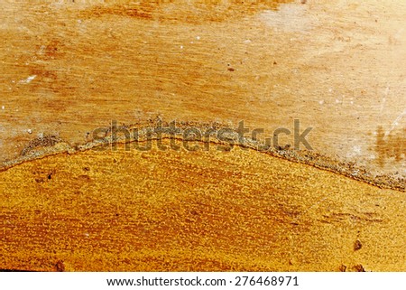 surface of termite trail on old wood
