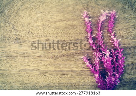 pink marine plant on wooden background in vintage tone