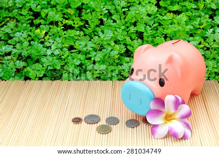 pink piggy bank and coin on parsley garden background