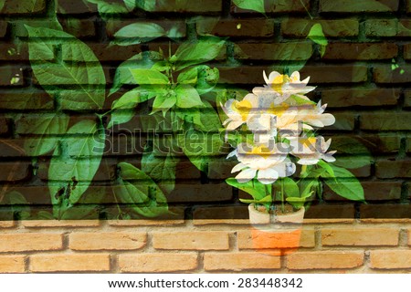 white flower vase on table with old dirty brick wall background