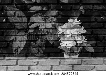 white flower vase on table with old dirty brick wall background in black and white tone