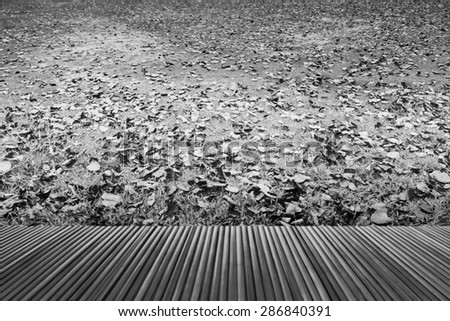 Bamboo pieces floor on dry leave on turf with sunlight in black and white tone