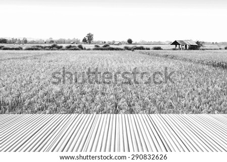 bamboo floor on blur paddy field background in dry paint style