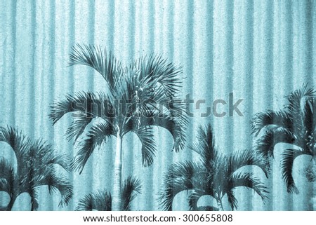 palm tree and blue sky with crepe paper background ,blue tone