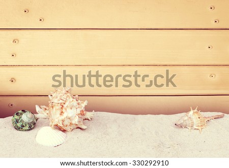 seashell on sea sand with wooden wall and nails background ,vintage tone