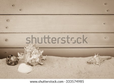 seashell on sea sand with wooden wall and nails background ,vintage tone
