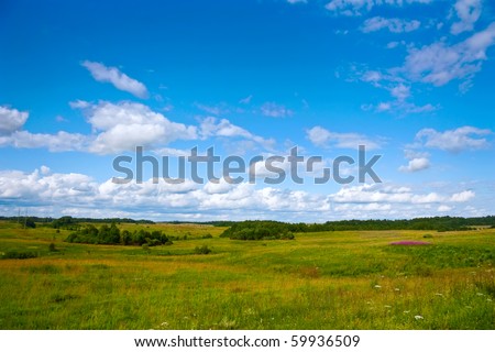 summer landscape