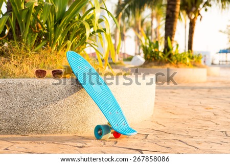 blue penny board with multicolored wheels stands near the palm trees