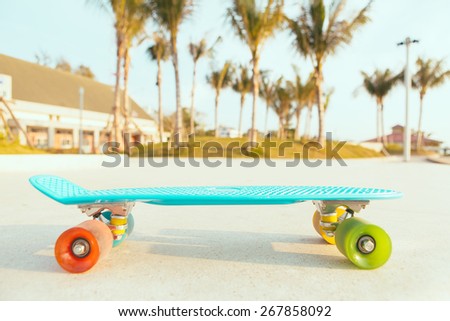 blue penny board with multicolored wheels stands on the track in front of the palm trees