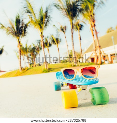 sunglasses on the blue penny board with multicolored wheels stands on the track in front of the palm trees