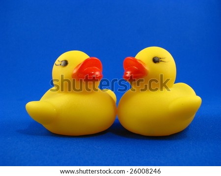 Two little rubber duckies