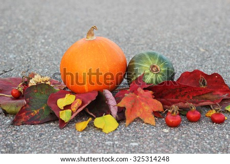 autumn still life, pumpkins, dog rose and autumn leaves