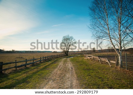 village landscape, wooden fence, lonely tree, village road, spring