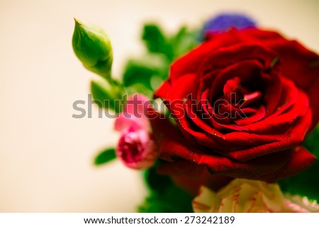 Bouquet of white and red roses isolated on white - Color tone effect