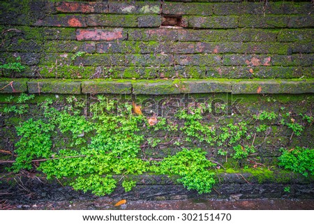 Red old concrete brick wall with green moss and root texture background