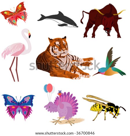 vector collection with animals, birds and insect