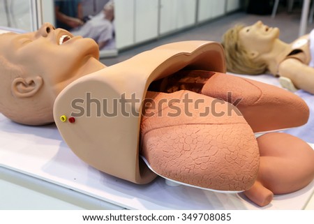 A manikin for training medical students
