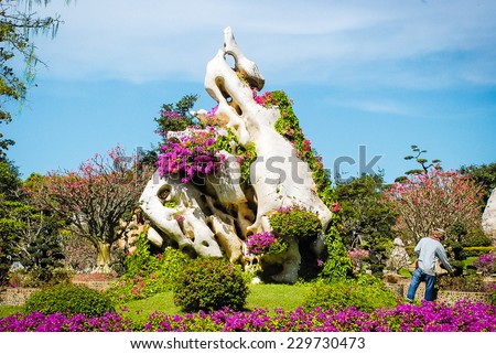 Beautiful summer flowers in a flower-bed near the stone. Garden stone Thailand