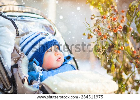 Cute baby sitting in a stroller on a cold winter day near wild rose