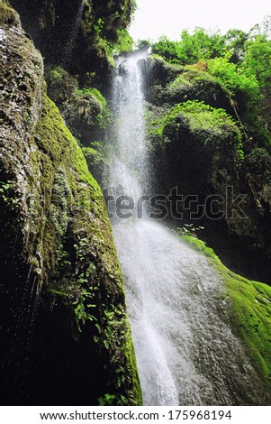 Tropical waterfall with a spray of water and plants