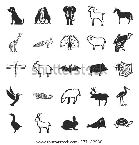 Animal icons set. Animal icons simple. Animal icons. Animal set app. Animal set vector. Animal set eps. Animal icons UI. Animal icons sign. Animal icons art. Animal set. Animal set logo. Animal set.