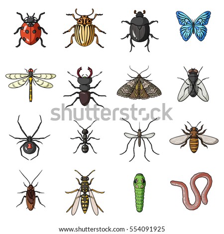 Insects set icons in cartoon style. Big collection of insects vector symbol stock illustration