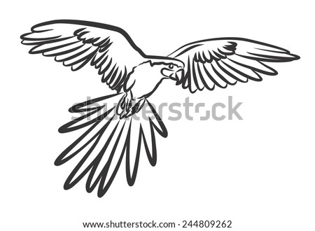 Parrot Parrot