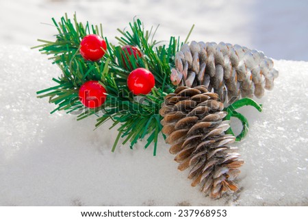 Christmas branch and pine cones on the snow