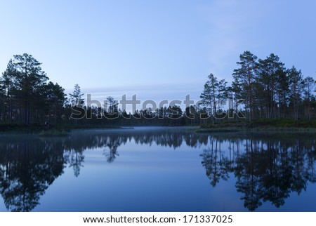 Small pond nighttime, calm misty evening, the trees are reflecting in the water