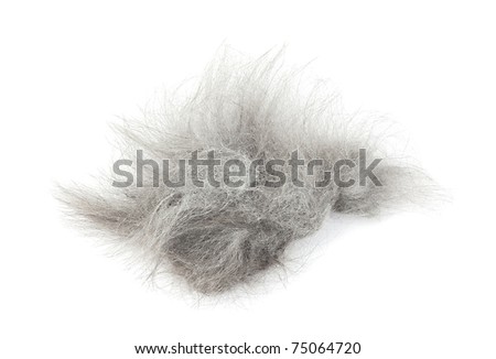 Tuft Of Hair