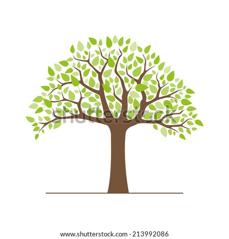 Tree With Green Leaves Isolated On White Background Vector Illustration