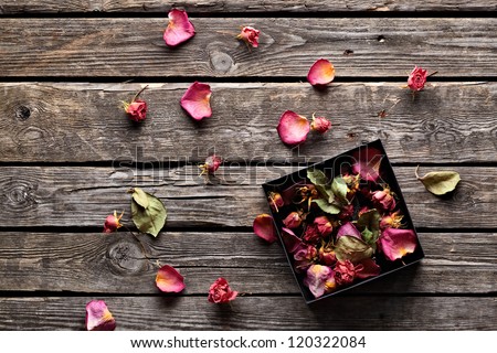 Many rose petals inside open gift box and scattered on old vintage wooden plates. Sweet holiday background with rose petals.