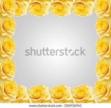 Yellow roses frame